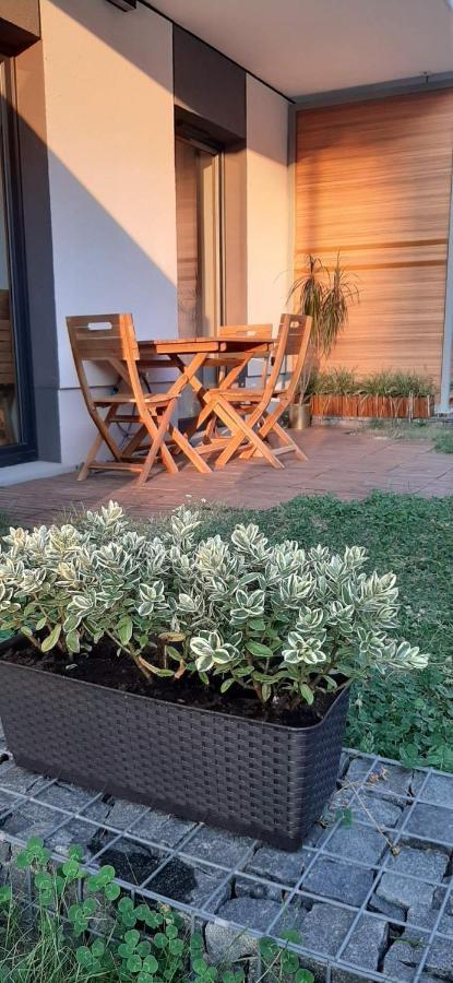 Apartament With Garden Bezplatny Parking !!! Krakau Buitenkant foto